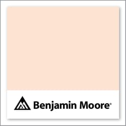 Benjamin Moore Peach Nectar 2168-60