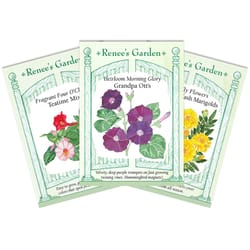 Renee's Garden Flower Seeds 1 pk