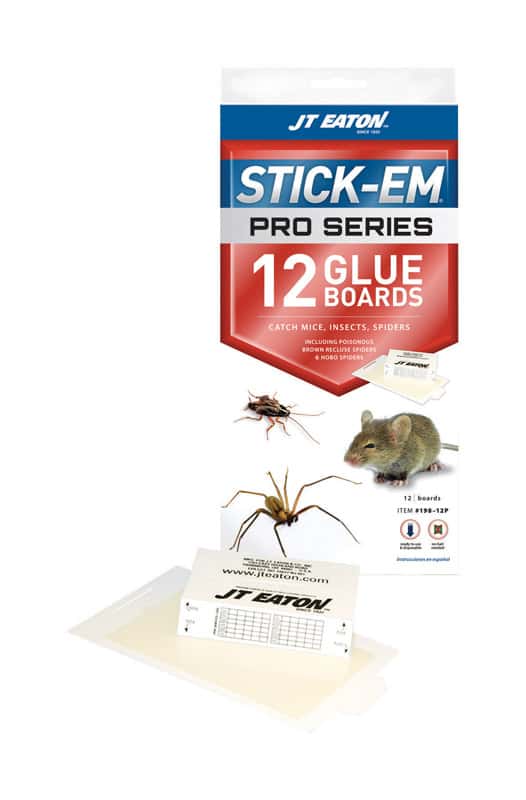 Insects and More Mice J T Eaton 157 StickEm Mighty Glue Board for Rats 