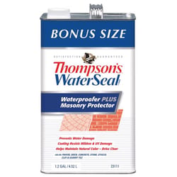 Thompson's WaterSeal Waterproofer Plus Masonry Protector Clear Masonry Waterproof Sealer 1.2 gal