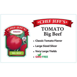 Chef Jeff Red Standard Big Beef Tomato Vegetable Plant