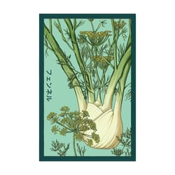 Chive Shido Seed Co. Fennel Seeds 1 pk
