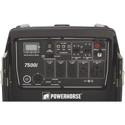 Powerhorse 240 V Gas Generator