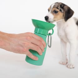 Springer Green Mini Plastic Pet Travel Bottle For Dogs