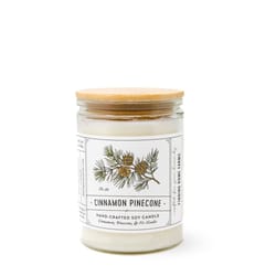 Finding Home Farms White Cinnamon Pinecone Scent Candle 11 oz