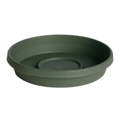 Bloem TerraTray 1.5 in. H X 8 in. D Resin Traditional Plant Saucer Living Green