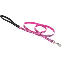 Lupine Pet Original Designs Multicolor Puppy Love Nylon Dog Leash