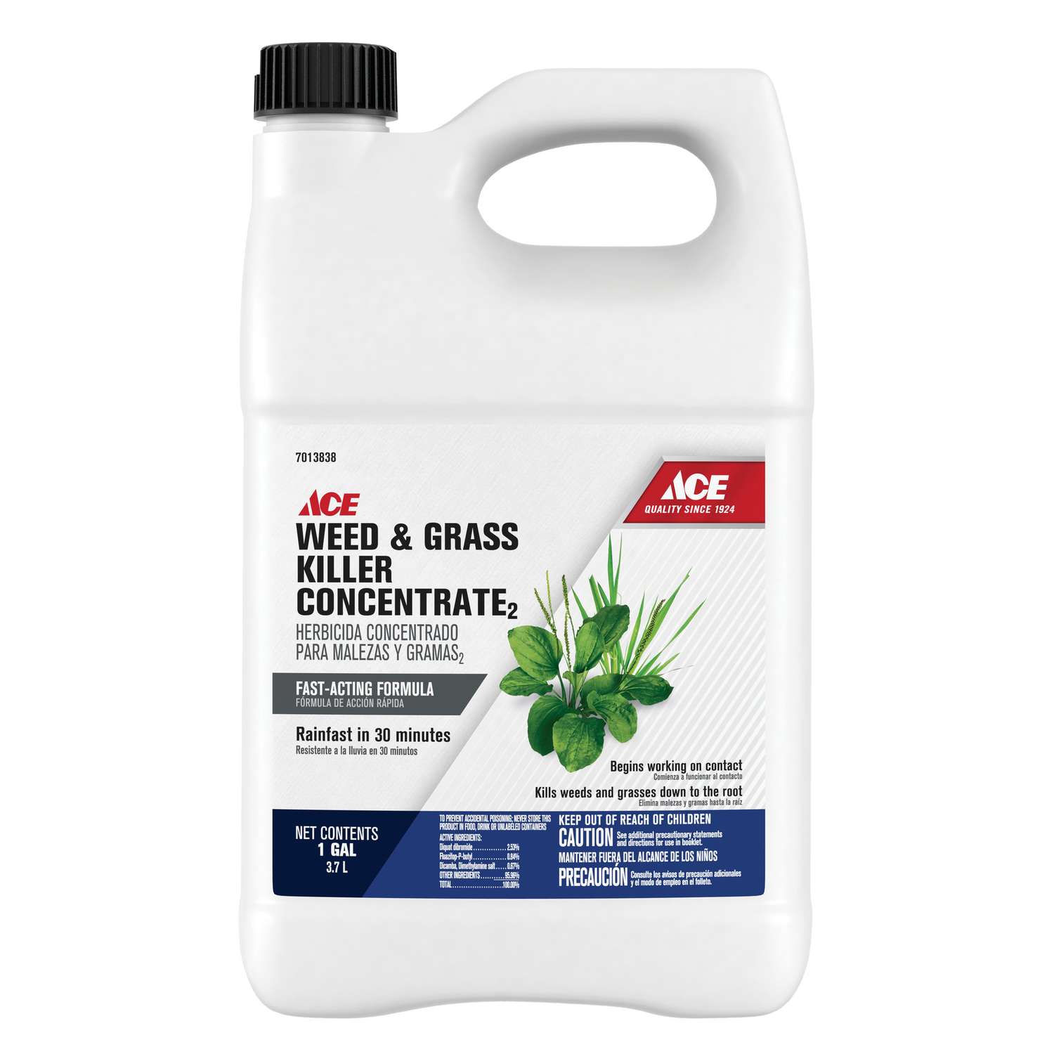 Ace Weed and Grass Killer Concentrate 1 gal Ace Hardware