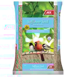 Ace Safflower Seeds Wild Bird Food 10 lb