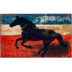 Olivia's Home 22 in. W X 32 in. L Multi-Color Wild Mustang Polyester Accent Rug