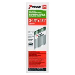 Paslode 3-1/4 in. Framing Hot-Dipped Galvanized Steel Nail Full Round Head