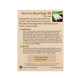 Lake Valley Seed Vegetable Seeds