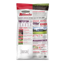 Pennington The Rebels Tall Fescue Grass Dense Shade Grass Seed 20 lb