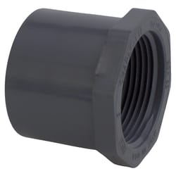 Charlotte Pipe Schedule 80 1-1/2 in. Spigot X 1-1/4 in. D FPT PVC Reducing Bushing 1 pk