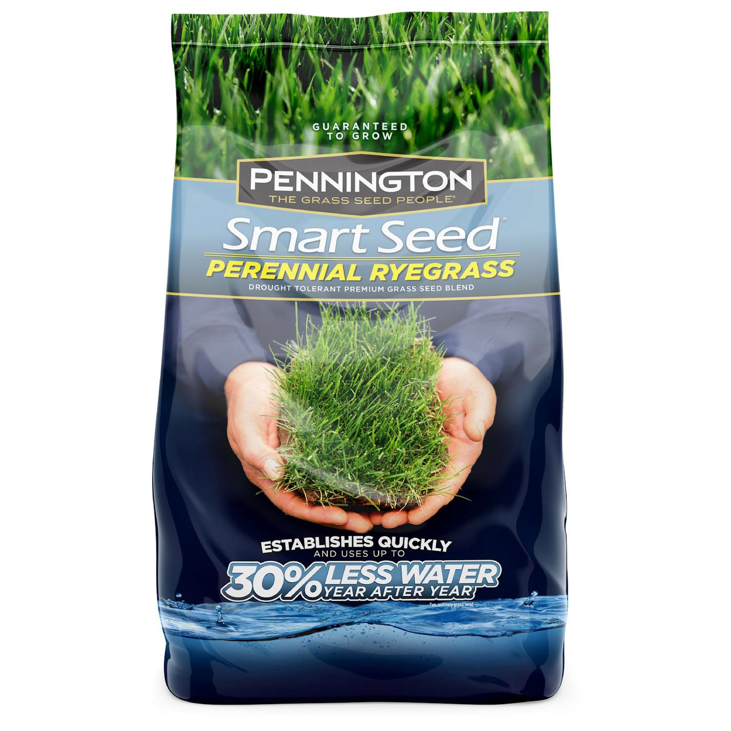 Pennington Seed Smart Seed Perennial Ryegrass Sun/Shade Grass Seed 3 lb