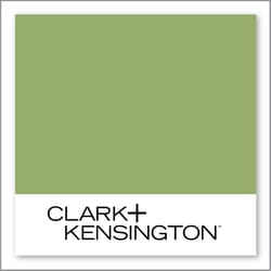 Clark+Kensington Gummy Bear KIDCC-48