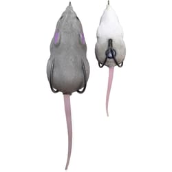 Lunkerhunt Fishing Lure 2 in.