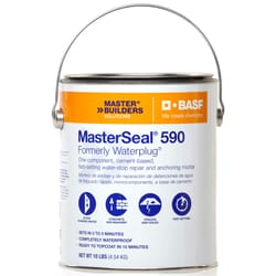 Master Builders MasterSeal 590 Hydraulic Cement 10 lb Gray