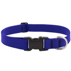 LupinePet Splash True Blue BioThane Dog Adjustable Collar Large