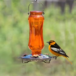 Perky-Pet Oriole 16 oz Glass Vintage Nectar Feeder 4 ports