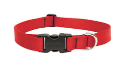 Virginia Cavaliers Pet Reflective Nylon Collar - Large