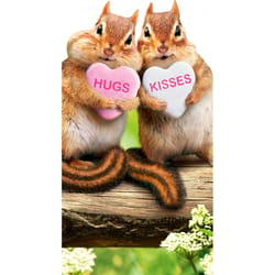 Avanti Seasonal Chipmunk Hearts Cute Little Big Valentine's Day Card Paper 2 pc