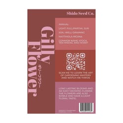 Chive Shido Seed Co. Gilly Flower Seeds 1 pk
