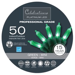Celebrations Platinum LED Christmas Lights at Ace Hardware