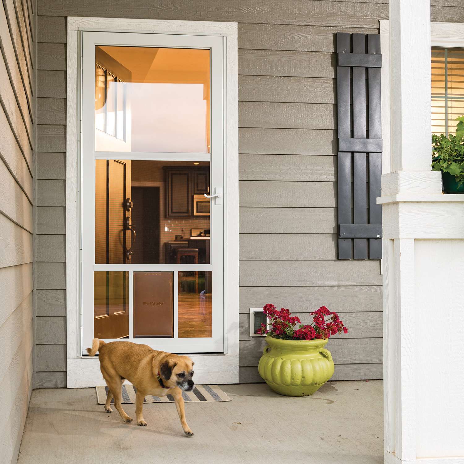 Glass storm door with pet sale door