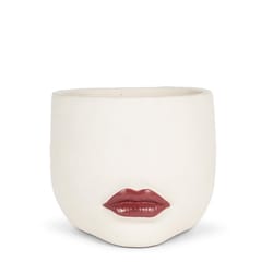 Abbott 7.5 in. D Cement Lip Planter Red/White