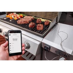 Ninja Woodfire Digital WiFi Enabled Bluetooth Enabled Grill Thermometer -  Ace Hardware