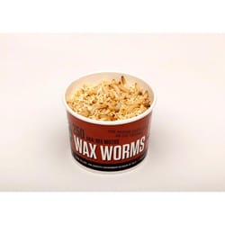 DMF Bait Co Wax Worms Fishing Bait 18 pk