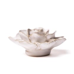 Chive Coastal 1.8 in. H X 3.5 in. L Glazed Ivory Ceramic Ranunculus Wall Flower
