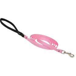 LupinePet Basic Solids Pink Pink Nylon Dog Leash