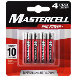 Dorcy Mastercell AAA Alkaline Batteries 4 pk Carded