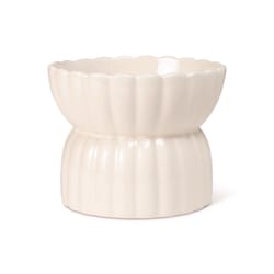 Pet Shop by Fringe Studio Ivory Ceramic 1.5 cups Pet Bowl For Dogs