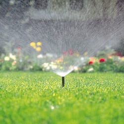 Toro 570 Series 4 in. H Adjustable Pop-Up Spray Head W/Flush Plug
