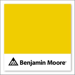 Benjamin Moore Baby Chick 2023-20
