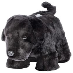 Carstens Inc 6 in. H X 12 in. L Black Polyester Coin Bank