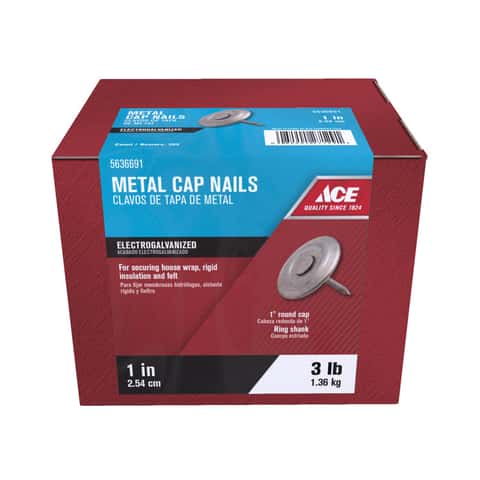Ace 1 in. Roofing Galvanized Steel Nail Flat Head 1 lb Ace 1 in. Roofing Galvanized Steel Nail Flat Head 1 lb