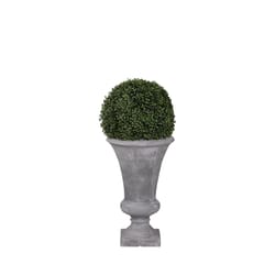 DW Silks 36 in. H X 16 in. L Polyester Boxwood Ball in Urn