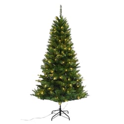 Celebrations 6-1/2 ft. Full LED 200 ct Mixed Pine Color Changing Christmas Tree