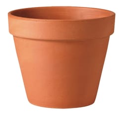 Deroma 4 in. D Clay Traditional Planter Terracotta
