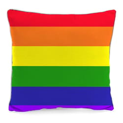 Jordan Manufacturing Multicolored Polyester Throw Pillow 4 in. H X 16 in. W X 16 in. L