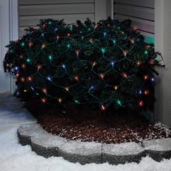 Christmas Lights At Ace Hardware