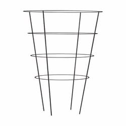 Panacea Vivid 54 in. H X 16 in. W Assorted Steel Tomato Cage
