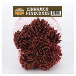 The Buffalo Broom Company Brown Pinecones