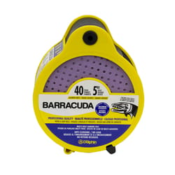 Blue Dolphin Barracuda 5 in. Aluminum Oxide Hook and Loop Sanding Disc Kit Assorted Grit 40 pk