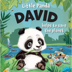 Little Panda David Storybook