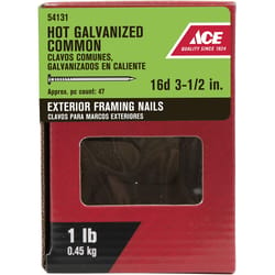 Ace 16D 3-1/2 in. Common Hot-Dipped Galvanized Steel Nail Flat Head 1 lb